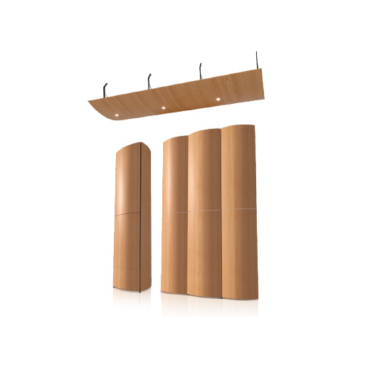 Musical Acoustic Shell