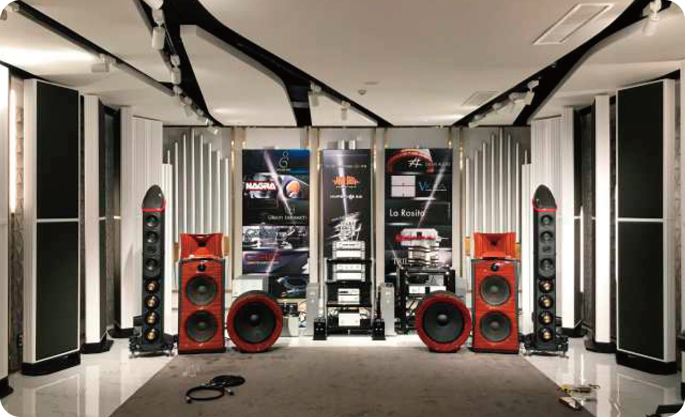 Haydn Acoustic Array image 2