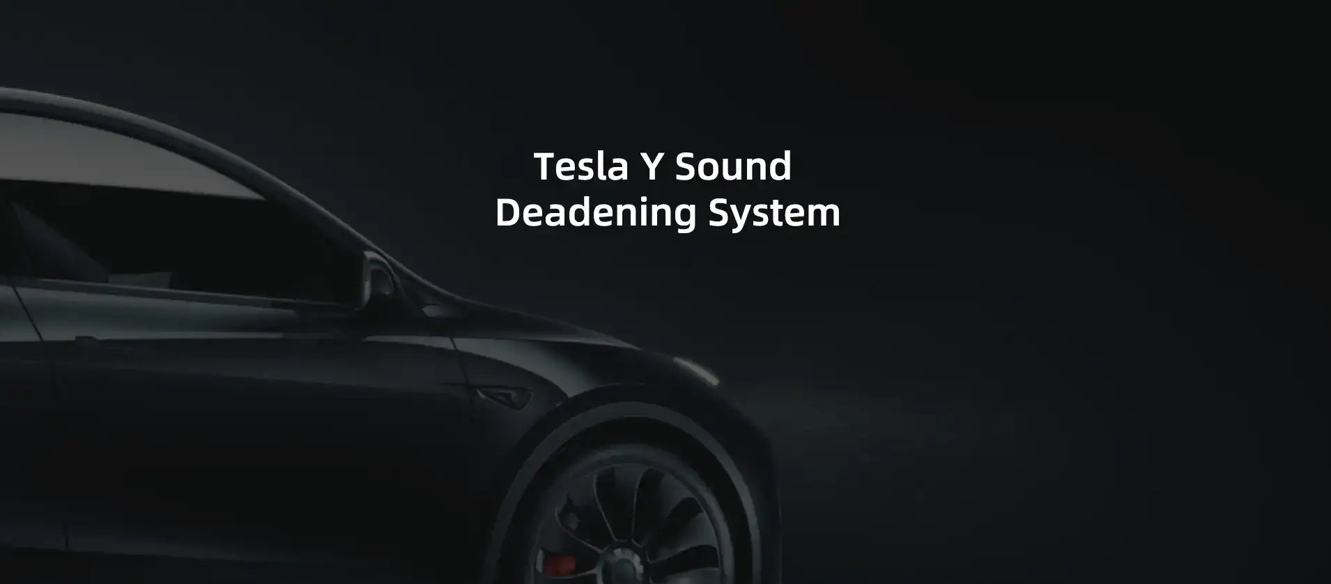Tesla Model Y Specific